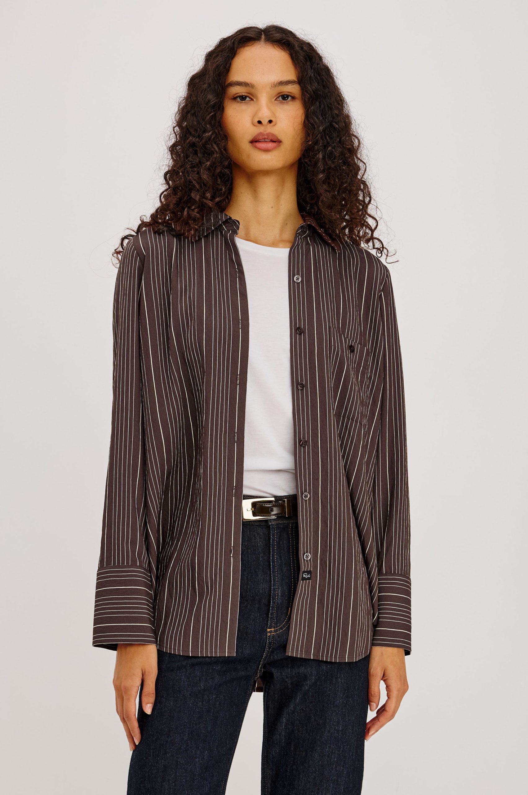 BECK SHIRT - CHICORY STRIPE