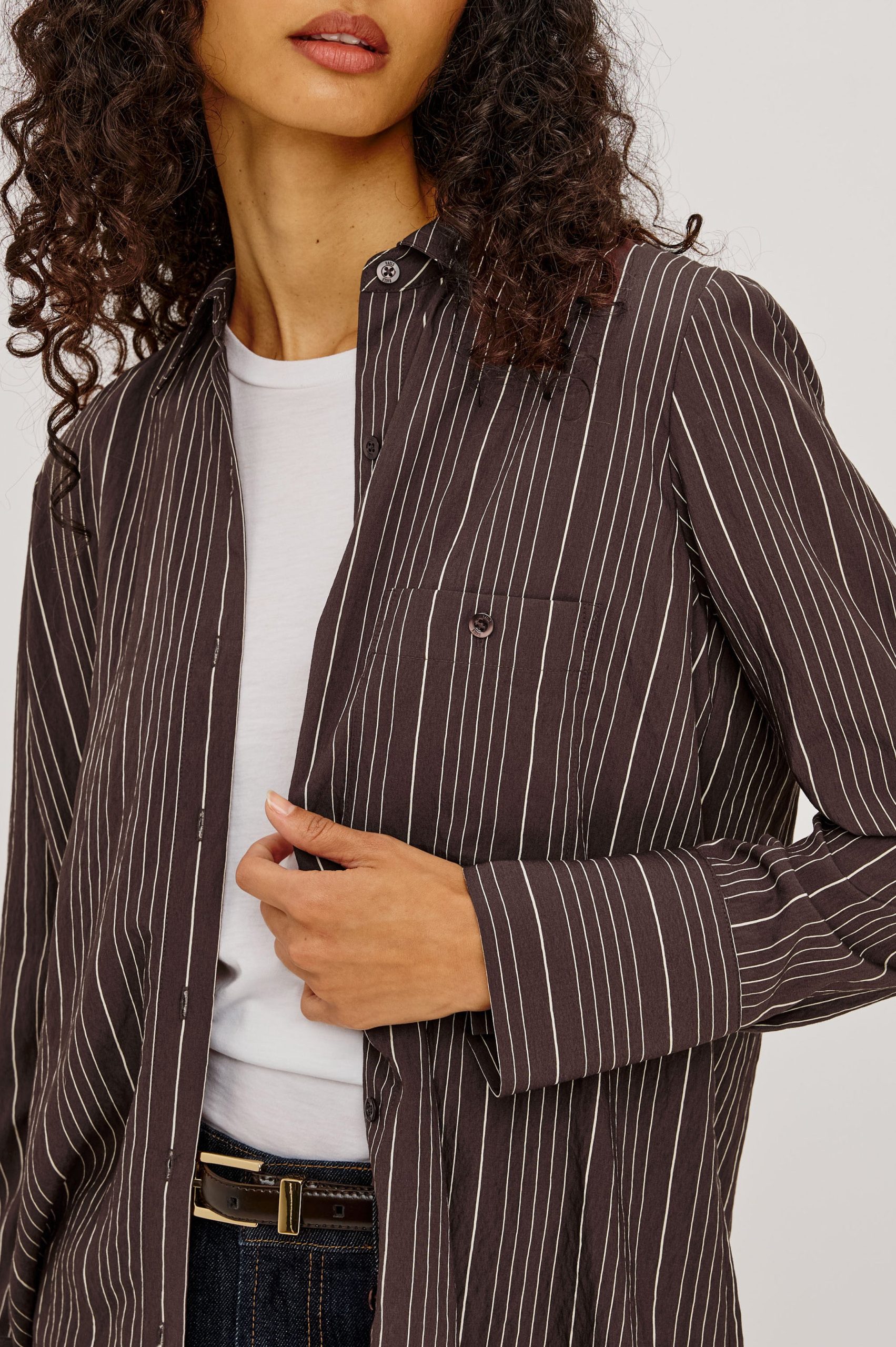 BECK SHIRT - CHICORY STRIPE - Image 2