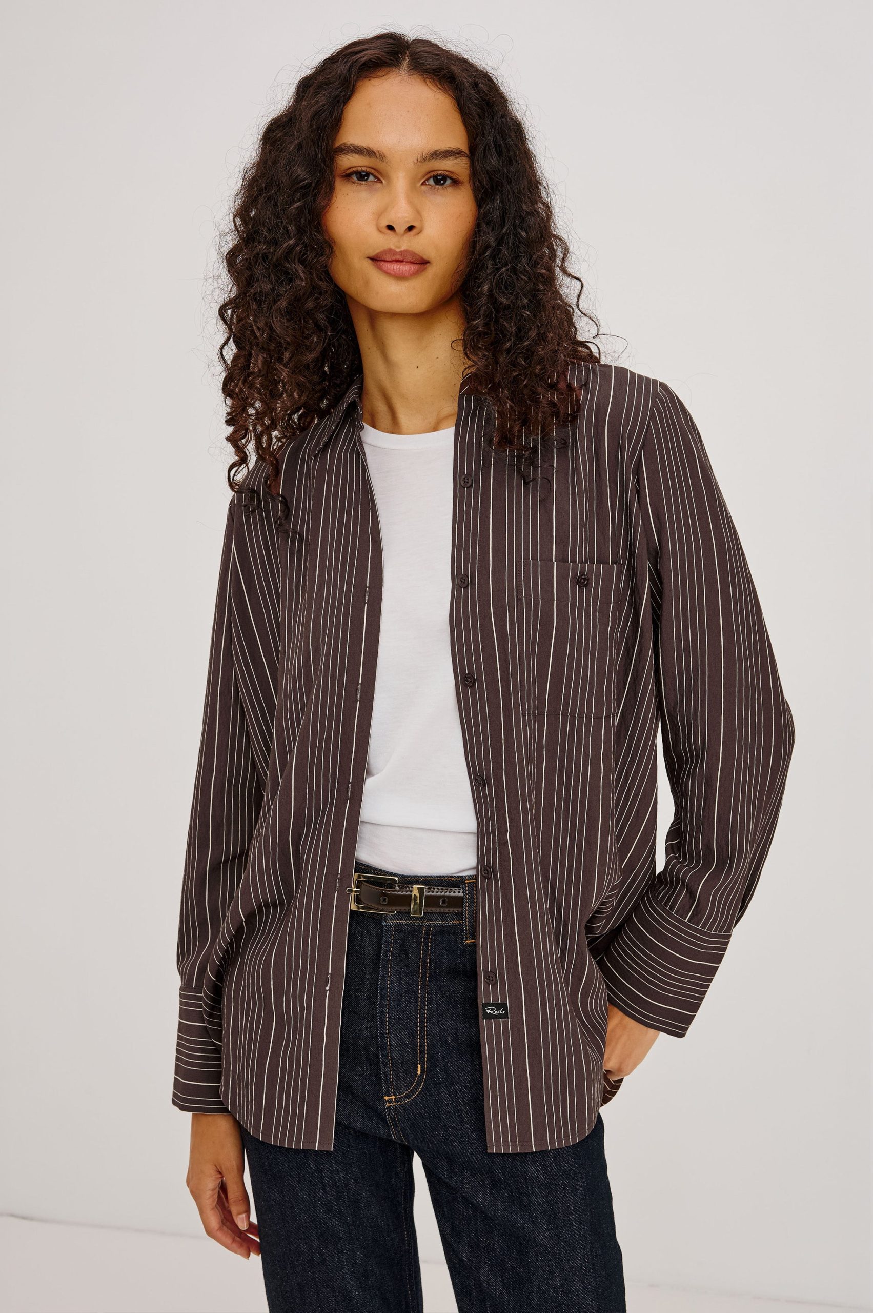 BECK SHIRT - CHICORY STRIPE - Image 4