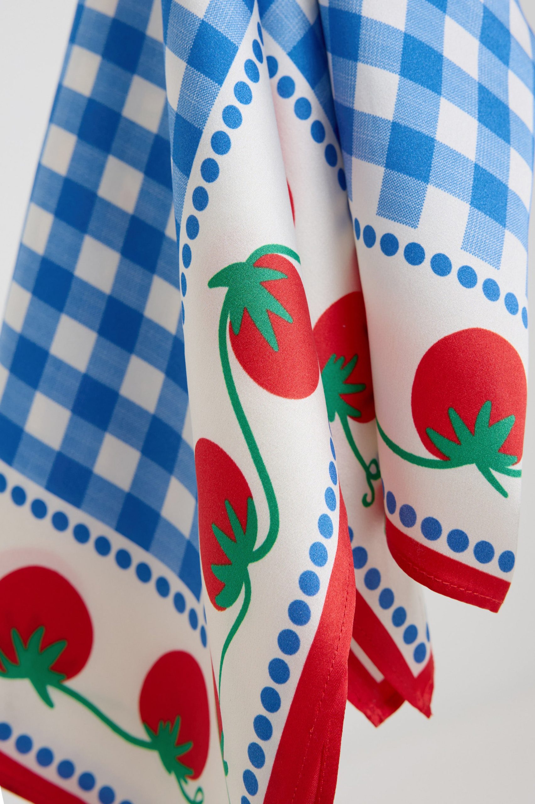 RAILS X GIADZY COSIMA SCARF - GINGHAM TOMATOES - Image 2
