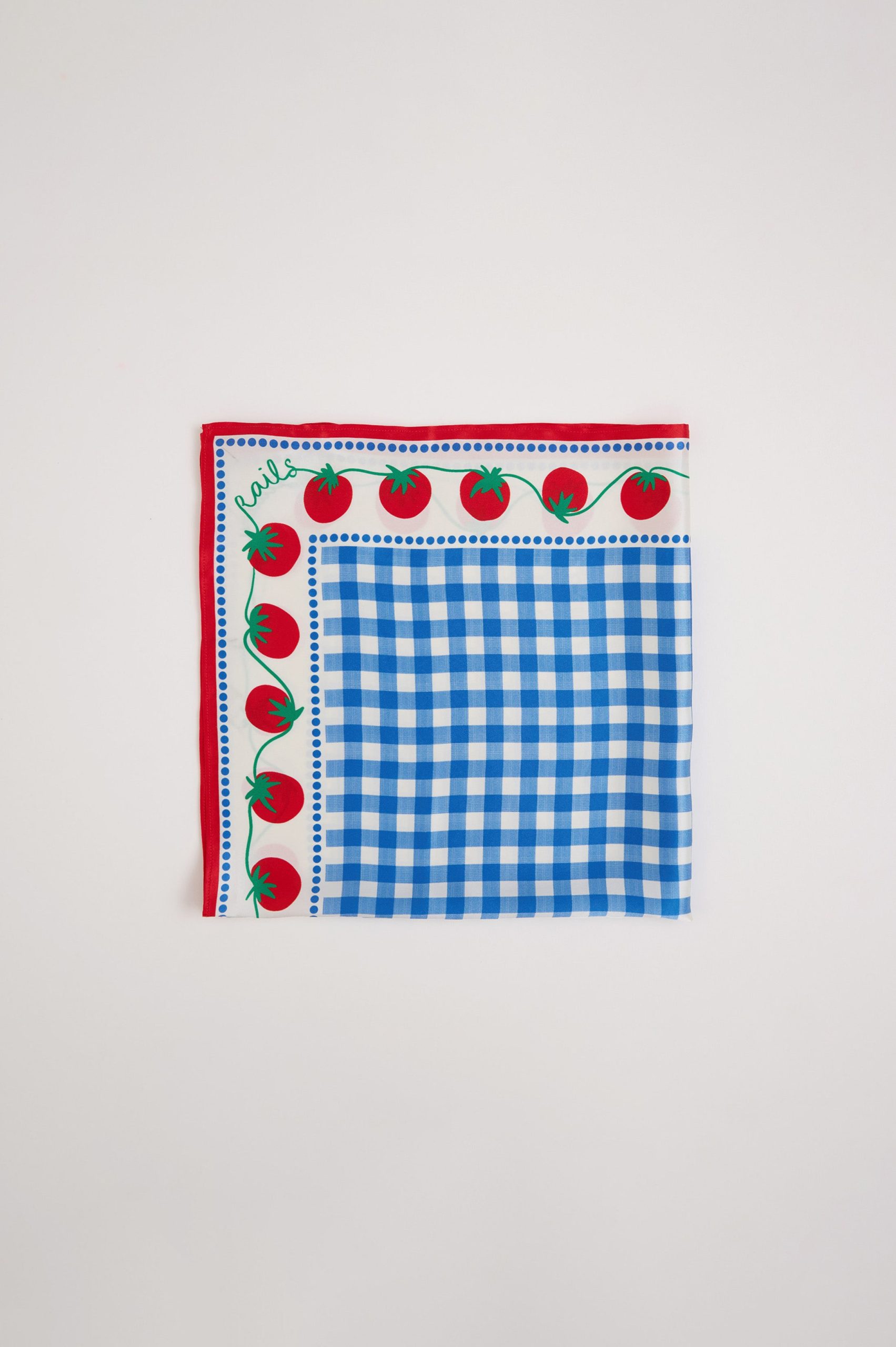 RAILS X GIADZY COSIMA SCARF - GINGHAM TOMATOES - Image 3