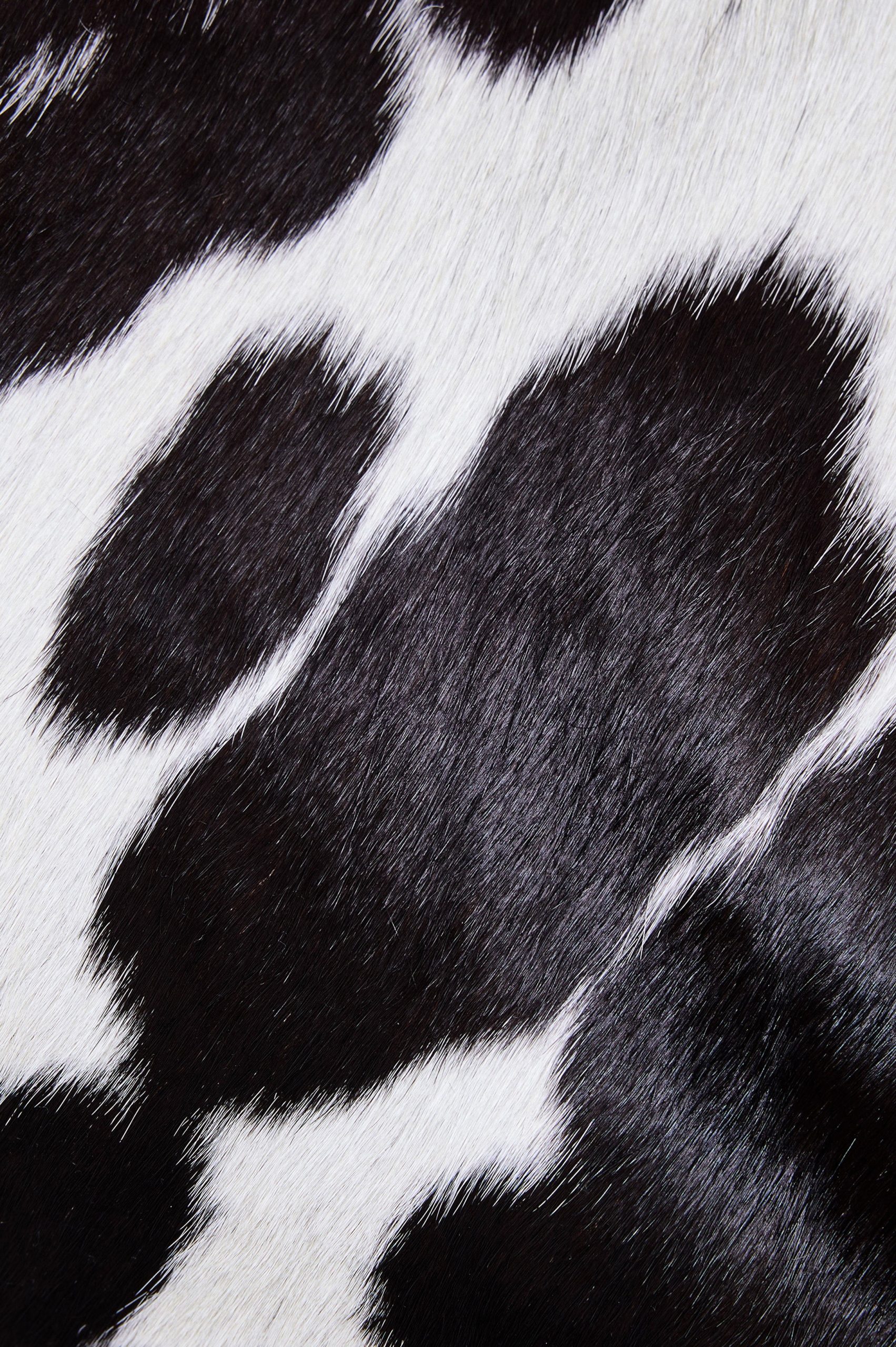 TORINO BUCKET BAG - COWGIRL HAIRCALF - Image 4